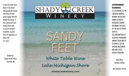 Sandy Feet