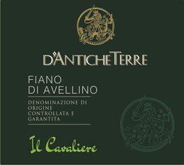 Il Cavaliere