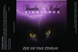 Eye Of The Storm