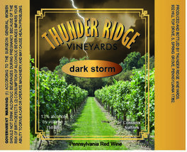 Dark Storm