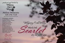 Black Oak Scarlet