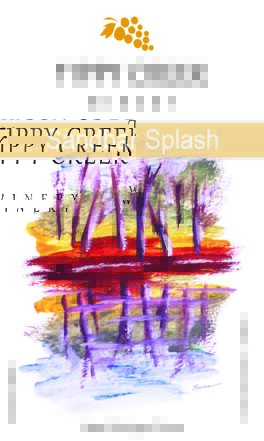 Sandbar Splash
