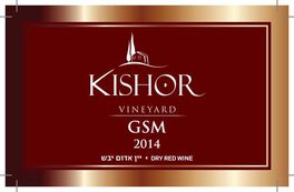 GSM