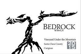 Vineyard Under The Mountain