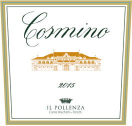 Cosmino