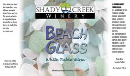 Beach Glass