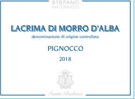 Pignocco