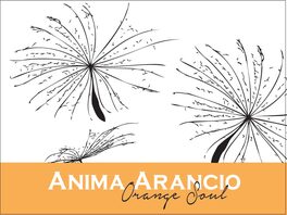 Anima Arancio