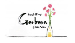Gerbera