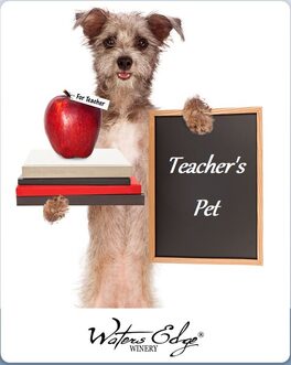 Teacher's Pet