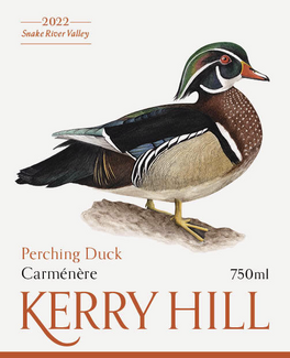 Perching Duck