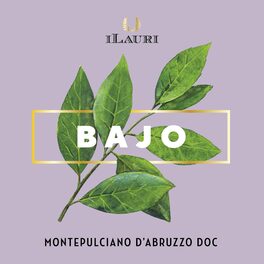 Bajo