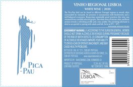 Pica-Pau