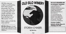 Storm Chaser