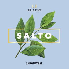 Salto