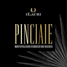Pinciaie