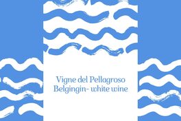 Belgingin