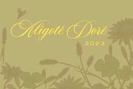 Aligoté Doré