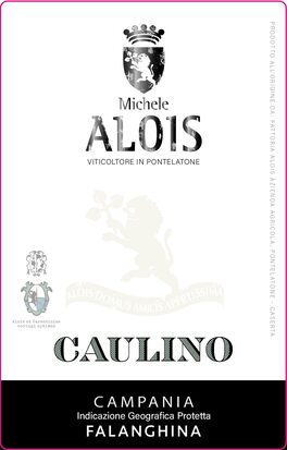 Caulino