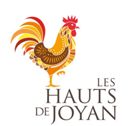 Orange Hauts De Joyan Skin - Contact White Wine