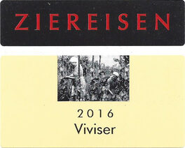 Viviser