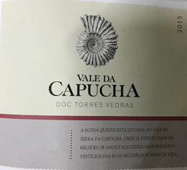 Castelao Vv