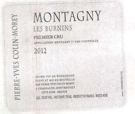 Les Burnins