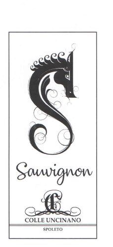 Sauvignon