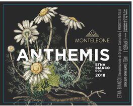 Anthemis