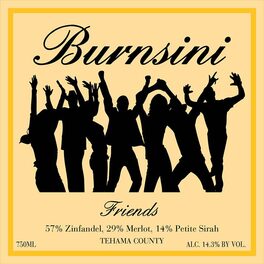 Burnsini