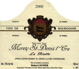 Red Burgundy Wine