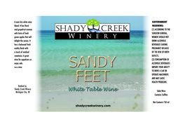 Sandy Feet