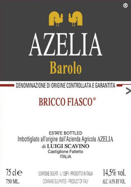 Bricco Fiasco