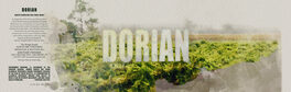 Dorian
