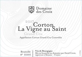 La Vigne au Saint