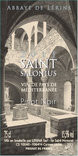 Saint Salonius