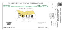 Pianta