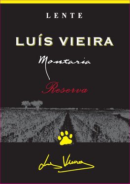 Luis Vieira