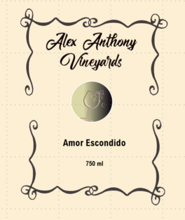 Armor Escondido