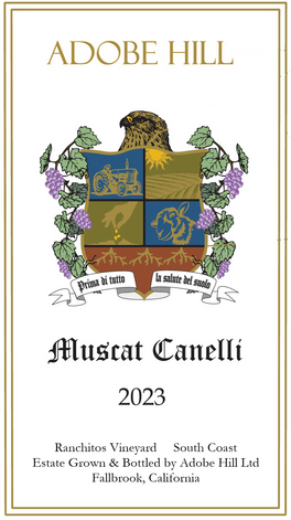 Prima Di Tutto La Salute Del Suolo Muscat Canelli