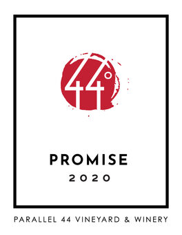 Promise