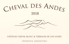 Cheval des Andes
