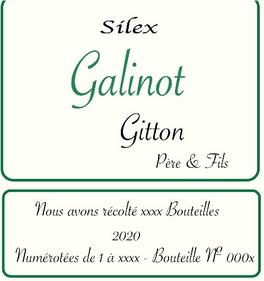 Galinot