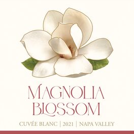Magnolia Blossom