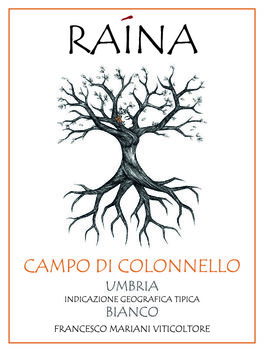 Campo Di Colonnello