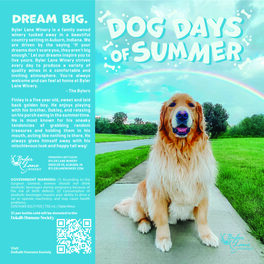 Dog Days of Summer