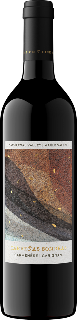 Tarreñas Sombras 2024 Carménère - Carignan