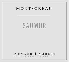 Montsoreau