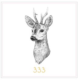 333