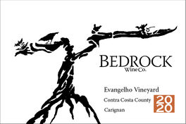 Evangelho Vineyard